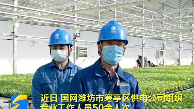 国网潍坊市寒亭区供电公司上门开展用电安全服务 确保春耕春灌顺利进行