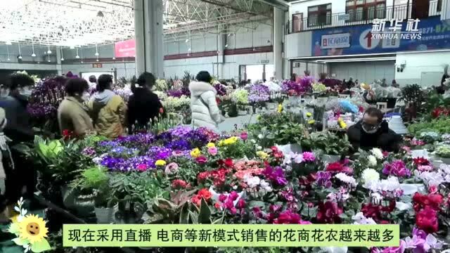 一“数”鲜花世界香——在“亚洲花都”感受鲜花产业“数字化”