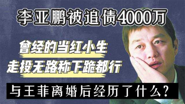 被追债4000万,与天后王菲离婚,这些年李亚鹏到底经历了什么?