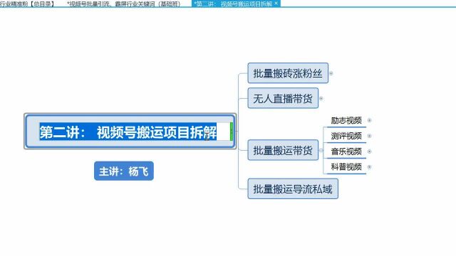 视频号搬运项目,看看都有哪些