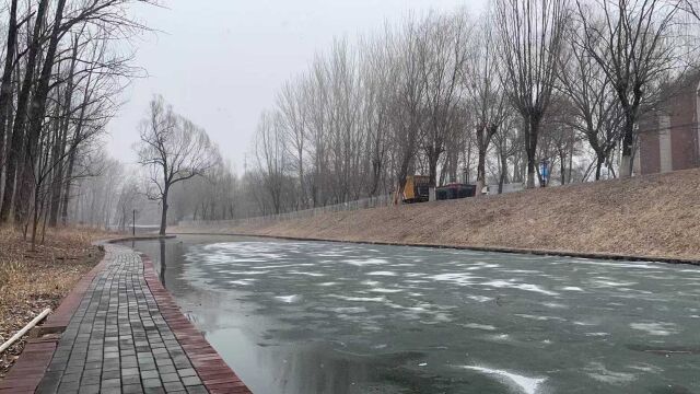 如约而至!北京多区已飘下雪花