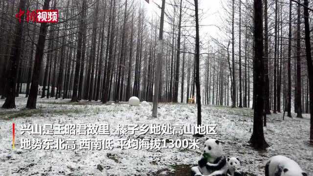 湖北兴山迎“倒春寒”现“桃花雪”景象