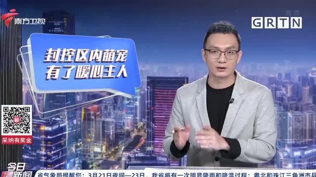 广州越秀区 封控大楼里 宠物猫狗有了临时新“主人”