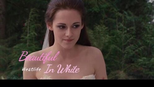 欧美神曲《Beautiful In White》，歌声感人肺腑，太适合婚礼上用