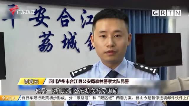 男子买狐狸给女友当宠物 被警方传唤