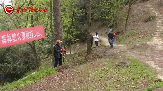 遵义:自发组织护林队,老当益壮守林人,为他们点赞!