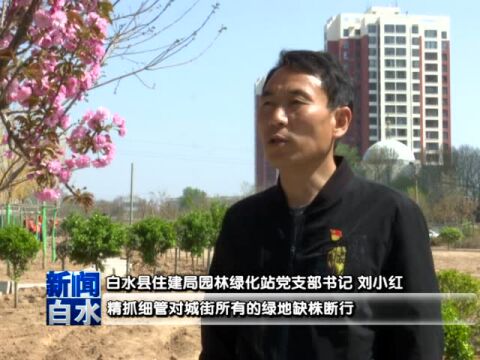 【资讯】还绿于民 城区“空地”旧貌换新颜