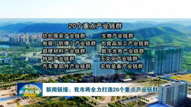 南阳将全力打造20个重点产业链群