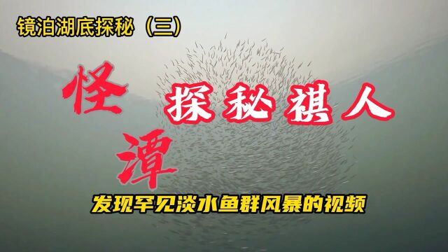 镜泊湖底探秘三.潜水探险者究竟是何方神圣?黑龙潭水下还有什么神秘世界和未解之谜?潜水员张祺通过镜头再次为我们深度解密黑龙潭潜水之行,点击视...