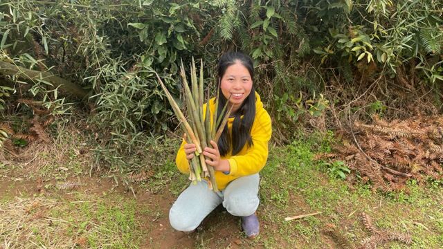 拔小竹笋的季节到了,大山里的野生竹笋,小秀拔得真过瘾