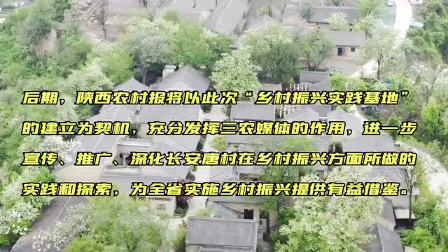 陕西农村报“乡村振兴实践基地”落户长安唐村