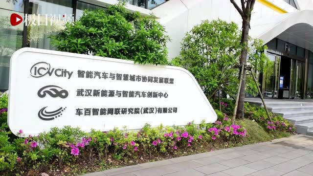 老旧厂房变身智能科技园,30余家企业已入驻