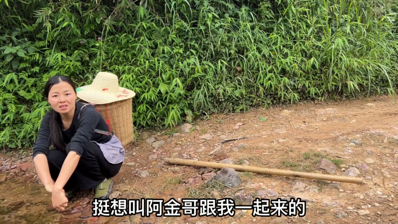 今天上山找竹笋,挺想叫阿金哥一起,又怕他不接我电话,不知咋办