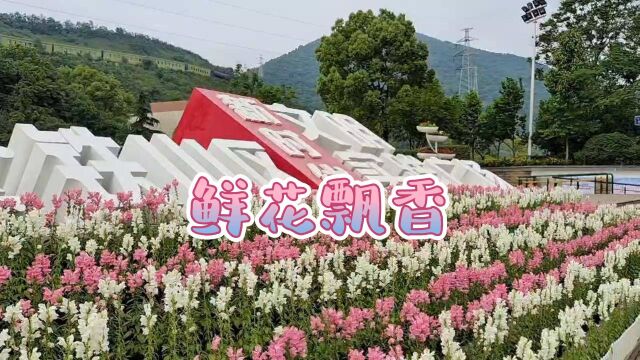 黄石开发区ⷮŠ铁山区鲜花飘香