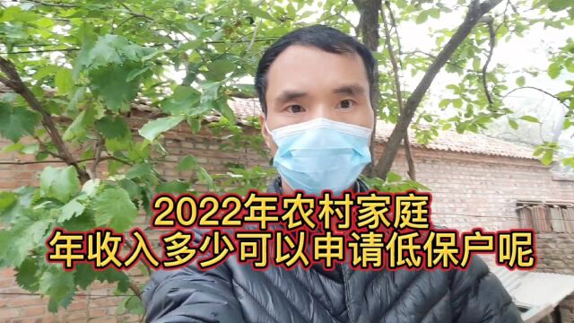 2022年农村家庭年收入多少可以申请低保户呢?