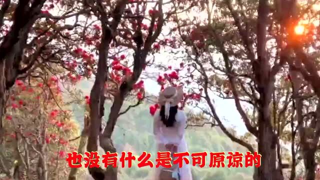 【合诵】浅夏悠悠,静享安然