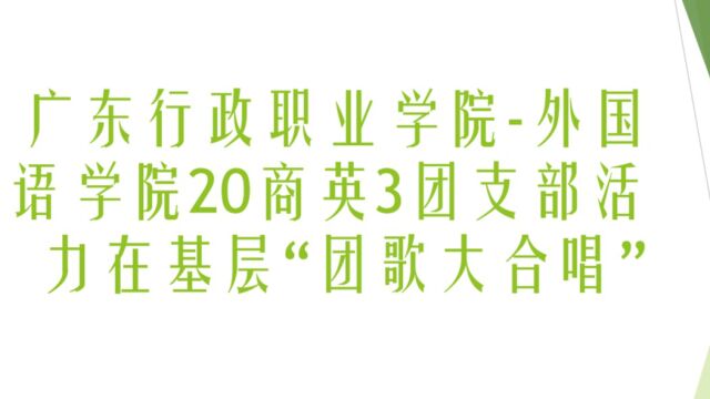 广东行政职业学院外语系20商英3团支部