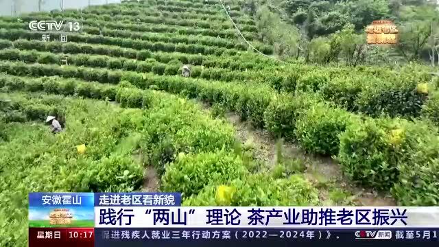 “霸屏”央视!“绿水青山 红色六安”每一帧都是骄傲!