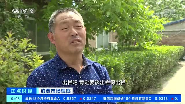 猪价连涨6周,养殖亏损减轻!新一轮“猪周期”来了?