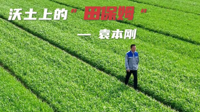 果然视频|齐河金穗粮食种植合作社袁本刚:沃土上的“田保姆”