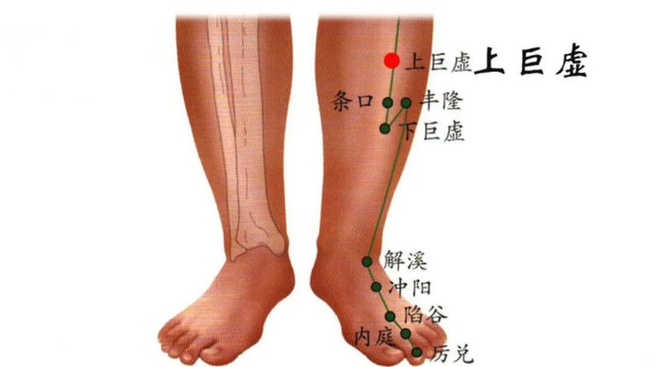 每周一穴丨通腑化滞,还能缓解便秘——上巨虚穴