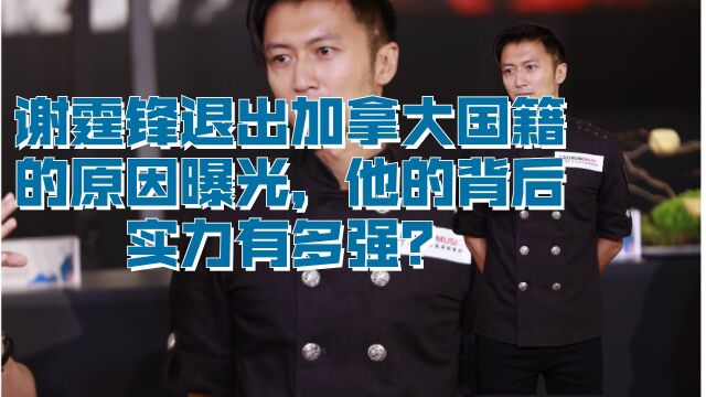 谢霆锋退出加拿大国籍的原因曝光,他的背后实力有多强?