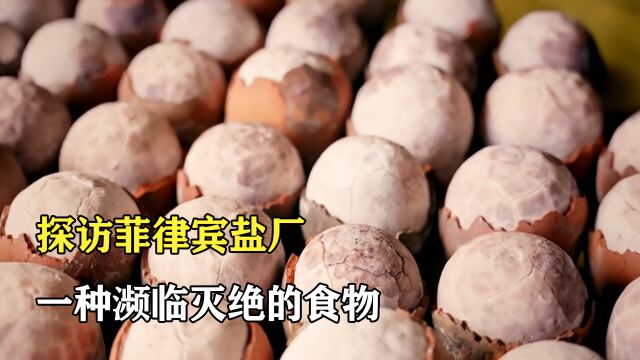 探访菲律宾海盐工厂:用椰子壳制作海盐,一种濒临灭绝的食物