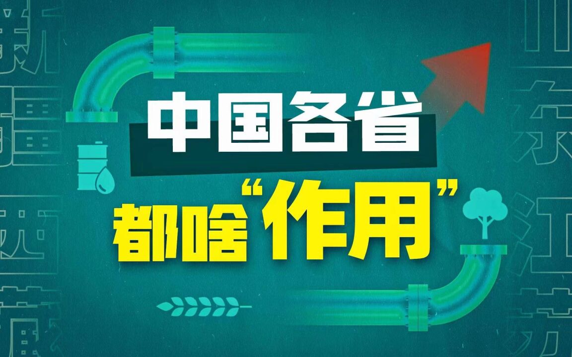 地大物博?从数据看中国“战略资源”到底有多强