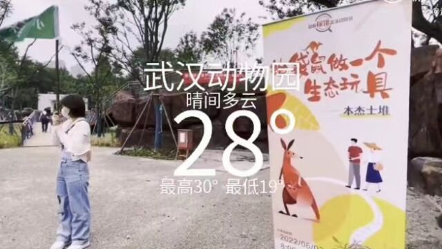 武汉动物园——袋鼠馆