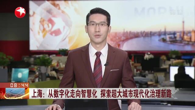 上海:从数字化走向智慧化 探索超大城市现代化治理新路