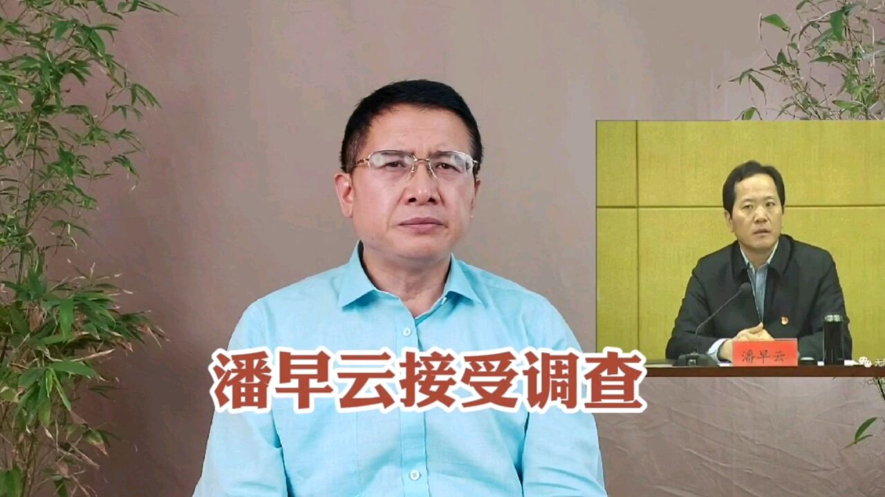 被查者(57:涉土地?江苏镇江副市长潘早云为什么被查?