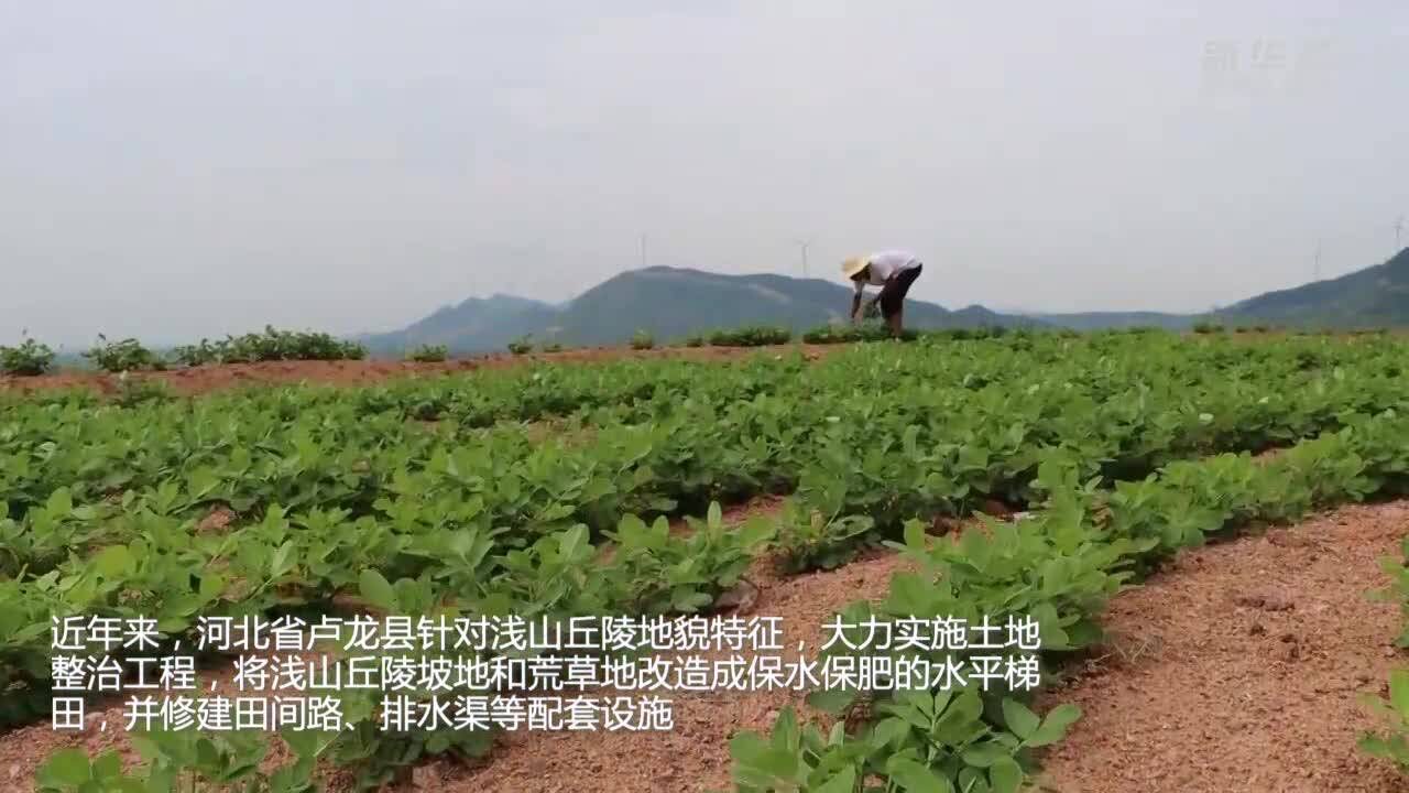 新华全媒+丨河北卢龙实施土地整治 让坡地和荒地变成良田