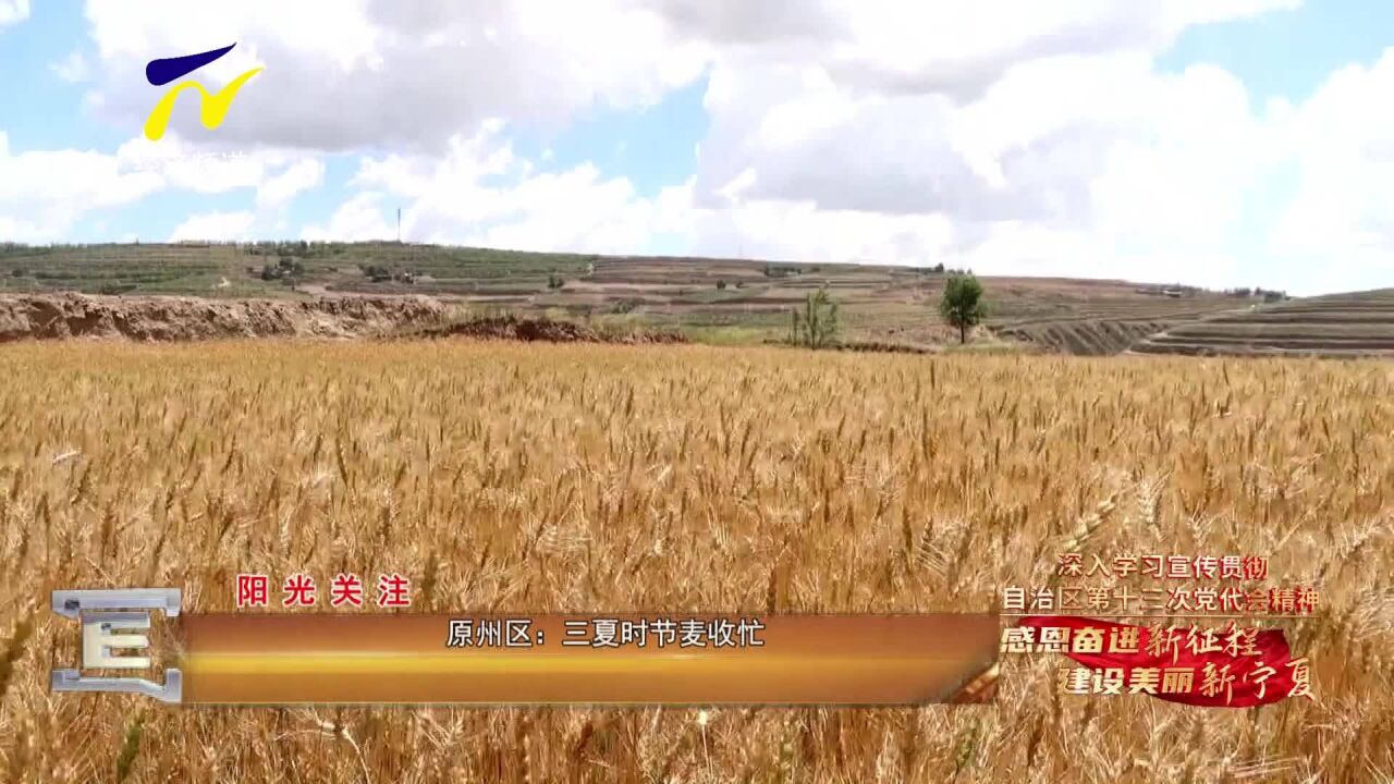 【阳光关注】原州区:三夏时节麦收忙