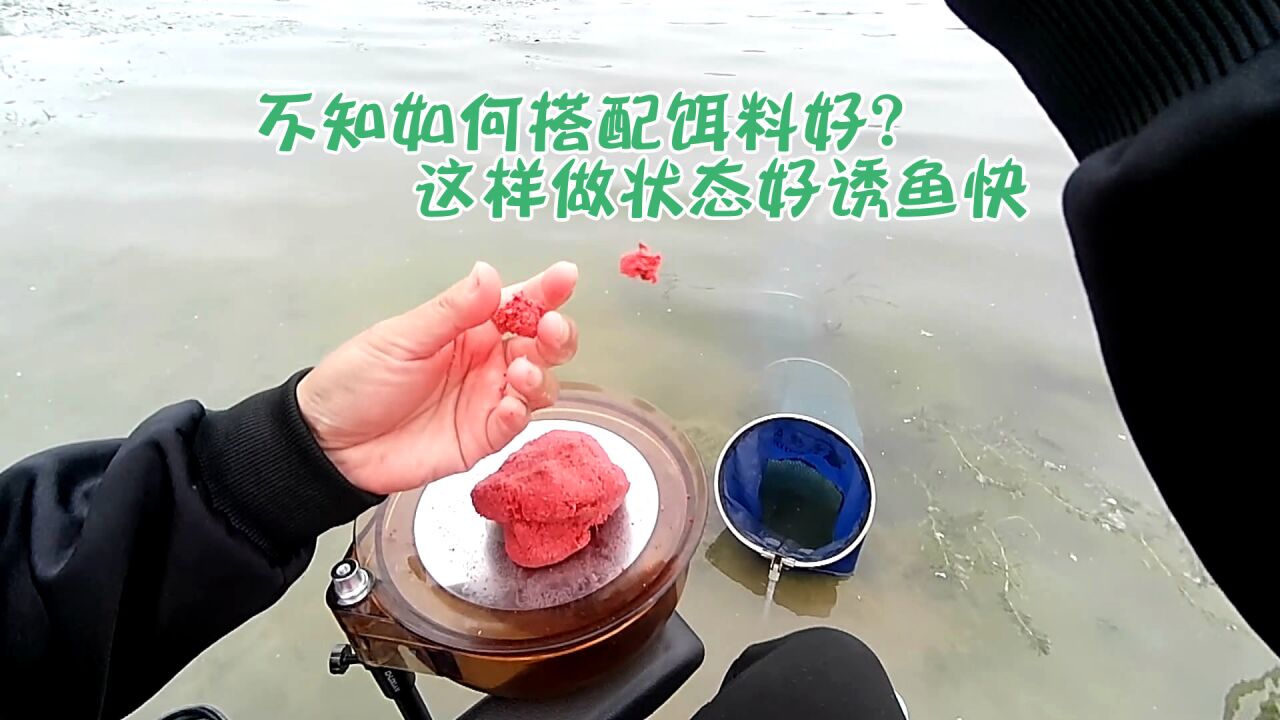 不明白饵料作用怎么能钓好鱼?这样简单操作,诱鱼快好入口