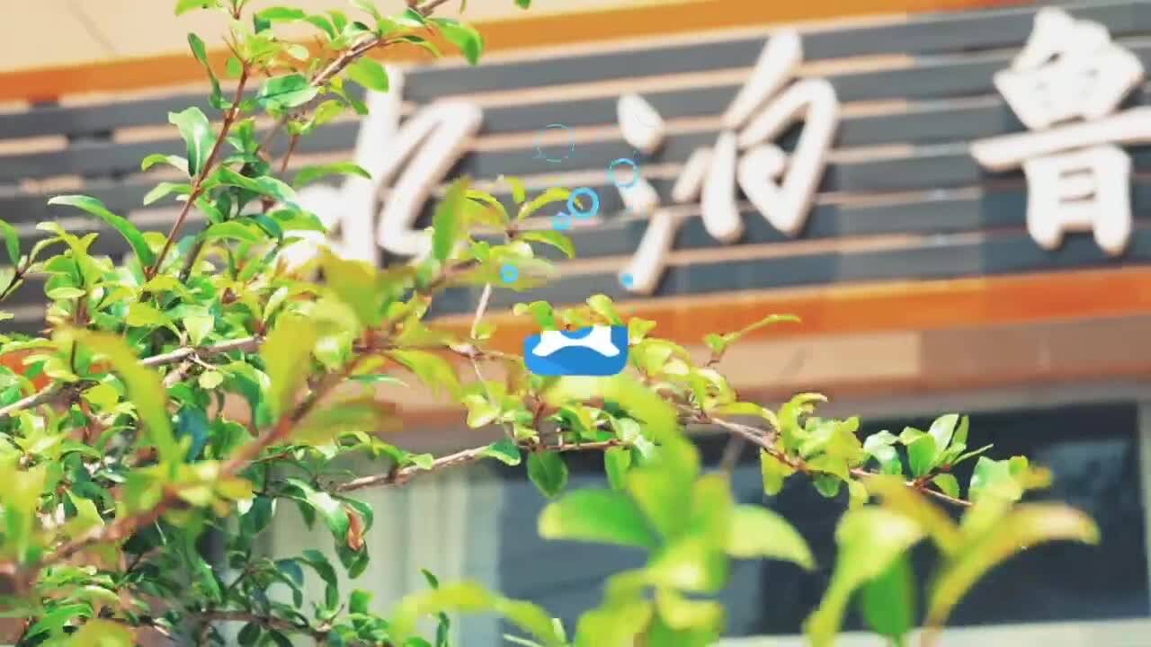 好品山东丨汉纺绣:传承岁月匠心 一针一线锦上绣美