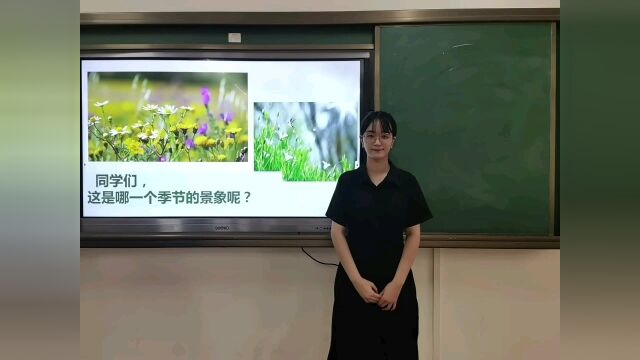 初中音乐学段试讲