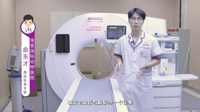 2022.7.15宠爱国际高阶影像专科,影像巨物SIEMENS Go 32排64层CT真实面目#宠物医生#宠物专科医院