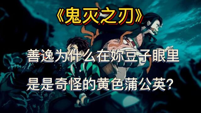 鬼灭之刃:善逸为什么在你豆子眼里是奇怪的黄色蒲公英?