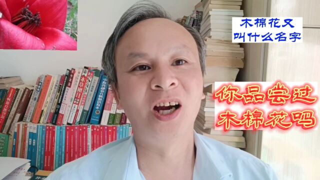 木棉花又叫什么名字你品尝过木棉花吗