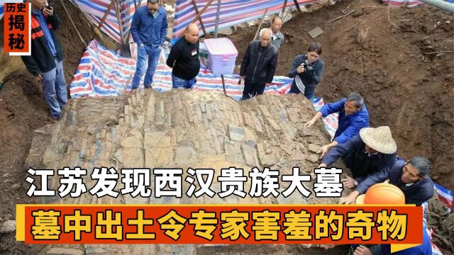 江苏发现西汉贵族大墓,墓中出土奇物“铜祖”,专家看了面红耳赤