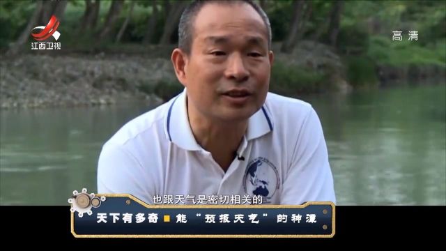 神龙潭:潭水为何能预报天气,专家给出两个字来解释