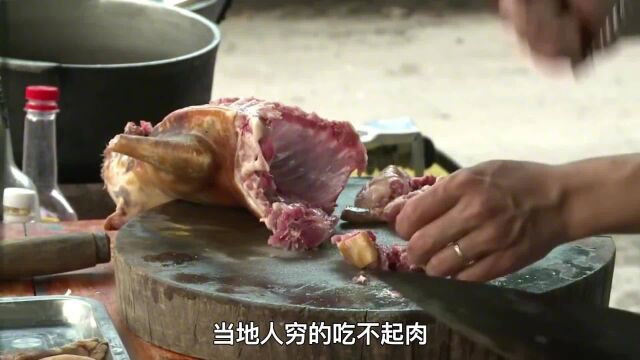 中国人什么都敢吃,为什么很少吃猫肉,仅仅是因为猫肉发酸?