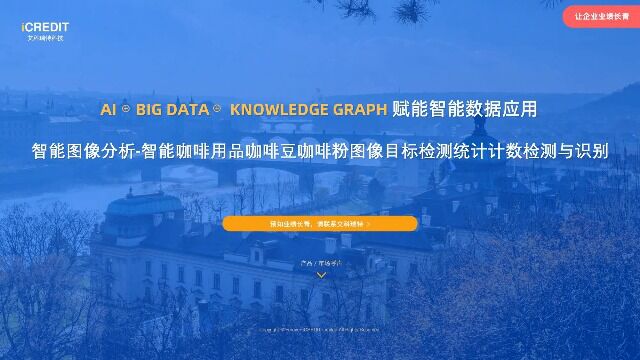智能图像分析智能咖啡用品咖啡豆咖啡粉图像目标检测统计计数检测与识别艾科瑞特科技(iCREDIT)