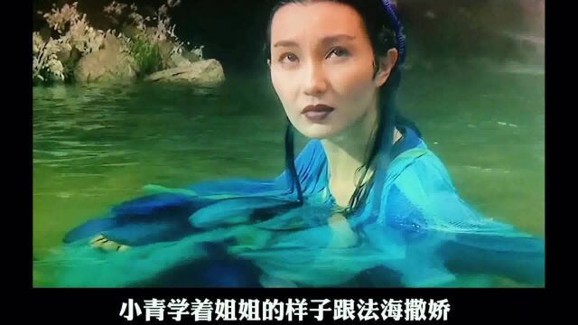 时隔30年重看未删减版,张曼玉 王祖贤 颠覆传统,史上最妖娆 青蛇 赵文卓 法海⠠我的观影报告