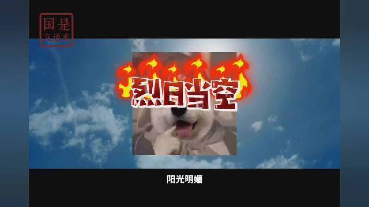 那些年我们收到的诈骗短信之如何识别诈骗短信?