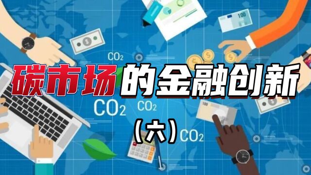 碳市场的金融创新(六)