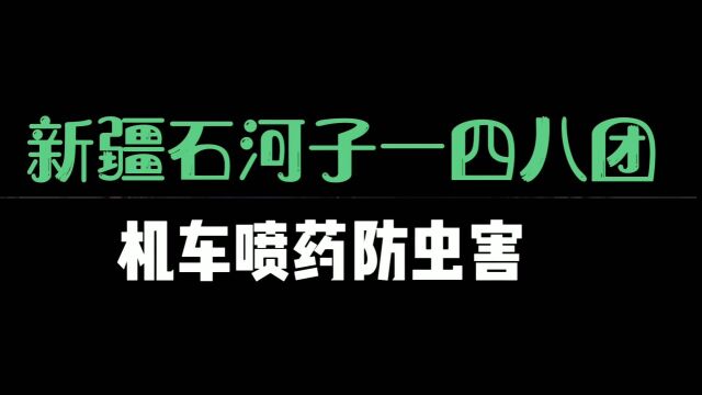 新疆石河子一四八团,记录兵团农场生活,机车喷药防虫害,还在棉花地里开车喷药,