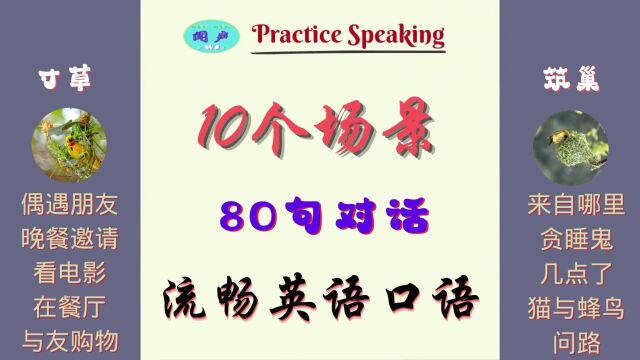 场景英语口语10场景80句 No.1 | 英语学习 | Learn English | 英语发音 | daily conversation | 简单易学