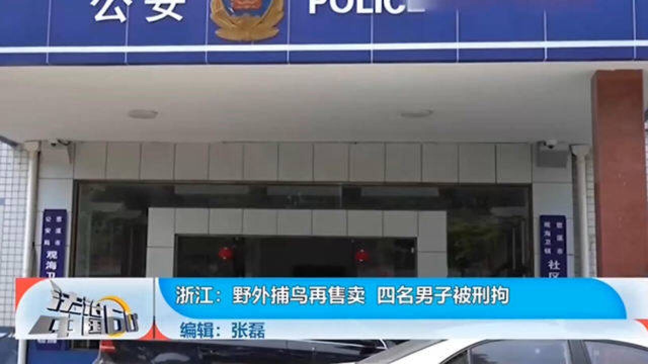 野外捕鸟再售卖,四名男子被刑拘