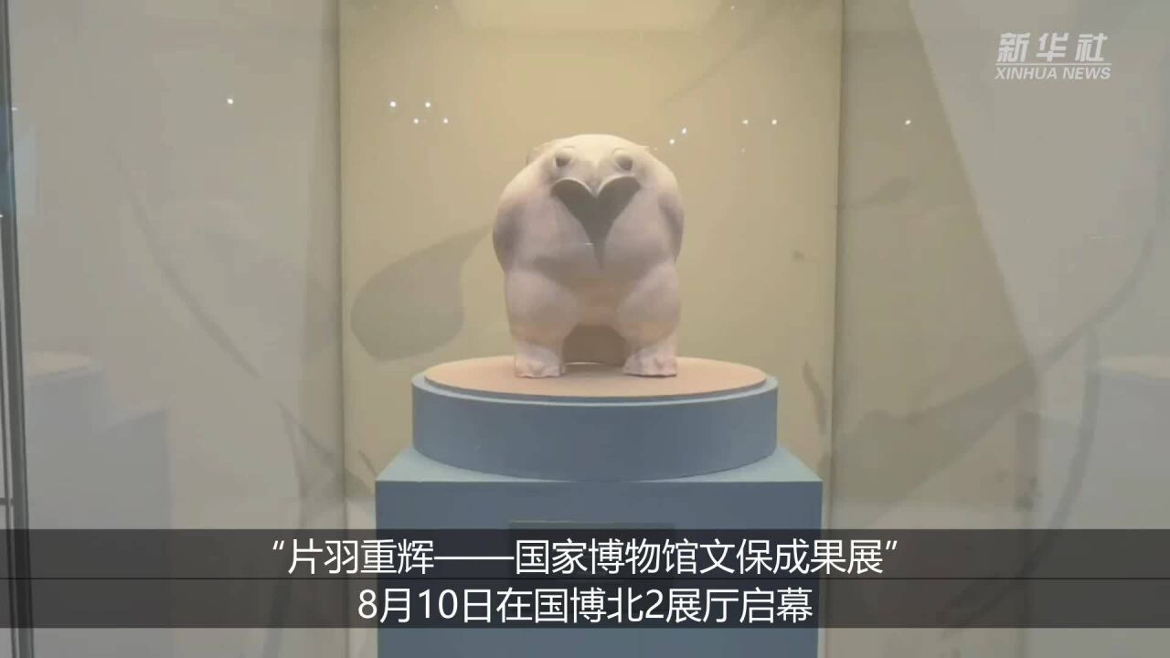 国博举办文保成果展